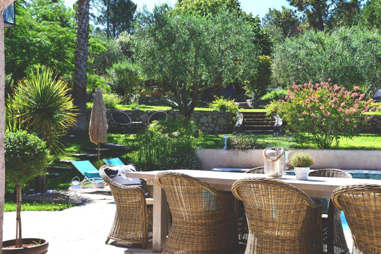 Chambres D'Hotes Villa Cardabella Le Tignet Dış mekan fotoğraf